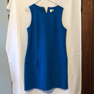 Bright Blue Sleeveless Business Wear Dress